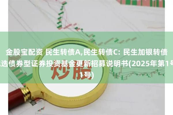 金股宝配资 民生转债A,民生转债C: 民生加银转债优选债券型证券投资基金更新招募说明书(2025年第1号)