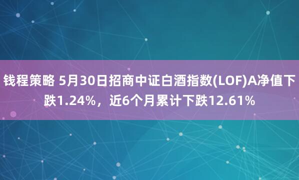 钱程策略 5月30日招商中证白酒指数(LOF)A净值下跌1.24%，近6个月累计下跌12.61%