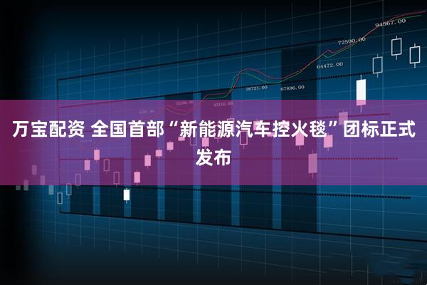 万宝配资 全国首部“新能源汽车控火毯”团标正式发布