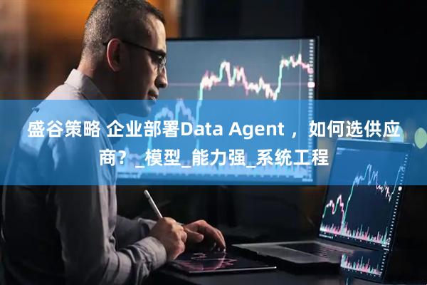 盛谷策略 企业部署Data Agent ，如何选供应商？_模型_能力强_系统工程