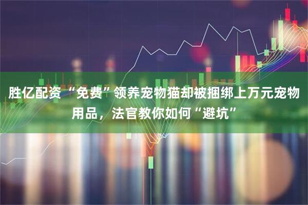 胜亿配资 “免费”领养宠物猫却被捆绑上万元宠物用品，法官教你如何“避坑”