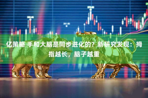 亿策略 手和大脑是同步进化的？新研究发现：拇指越长，脑子越重