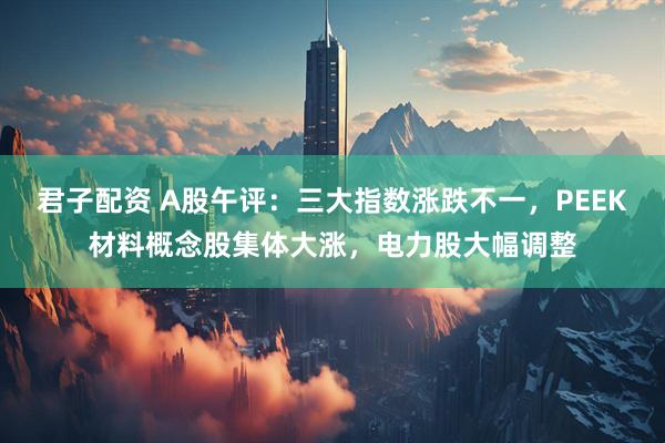 君子配资 A股午评:三大指数涨跌不一,PEEK材料概念股集体大涨,电力股大幅调整