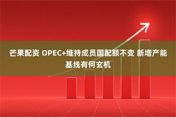 芒果配资 OPEC+维持成员国配额不变 新增产能基线有何玄机